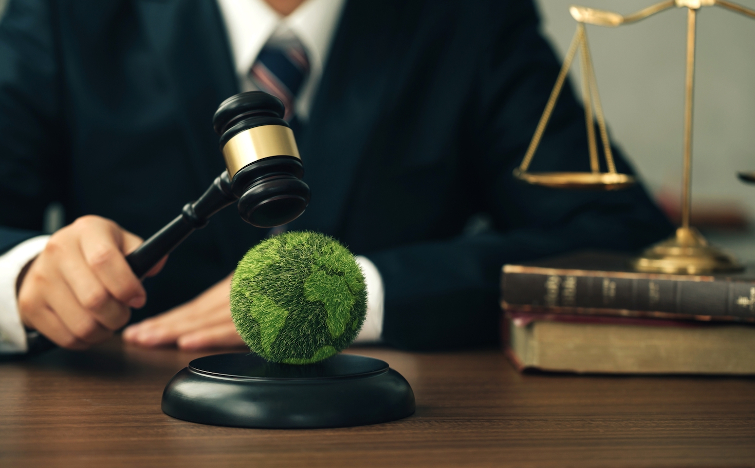 new-carbon-credit-integrity-assessment-opens-for-applications