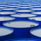 iea:-demand-for-oil-on-track-to-reach-all-time-high-in-2023