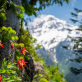 oregon’s-climate-wins-in-the-2023-legislative-session