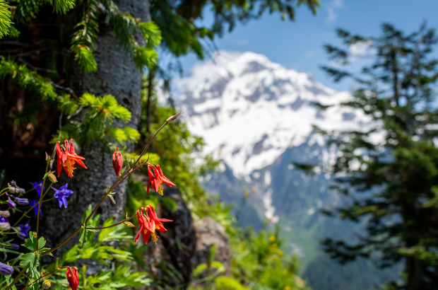 oregon’s-climate-wins-in-the-2023-legislative-session