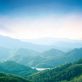 new-guidelines-for-decarbonizing-the-chemical-industry