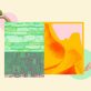 four-‘soft-skills’-you-need-in-a-sustainability-career