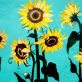 these-climate-investments-will-transform-washington