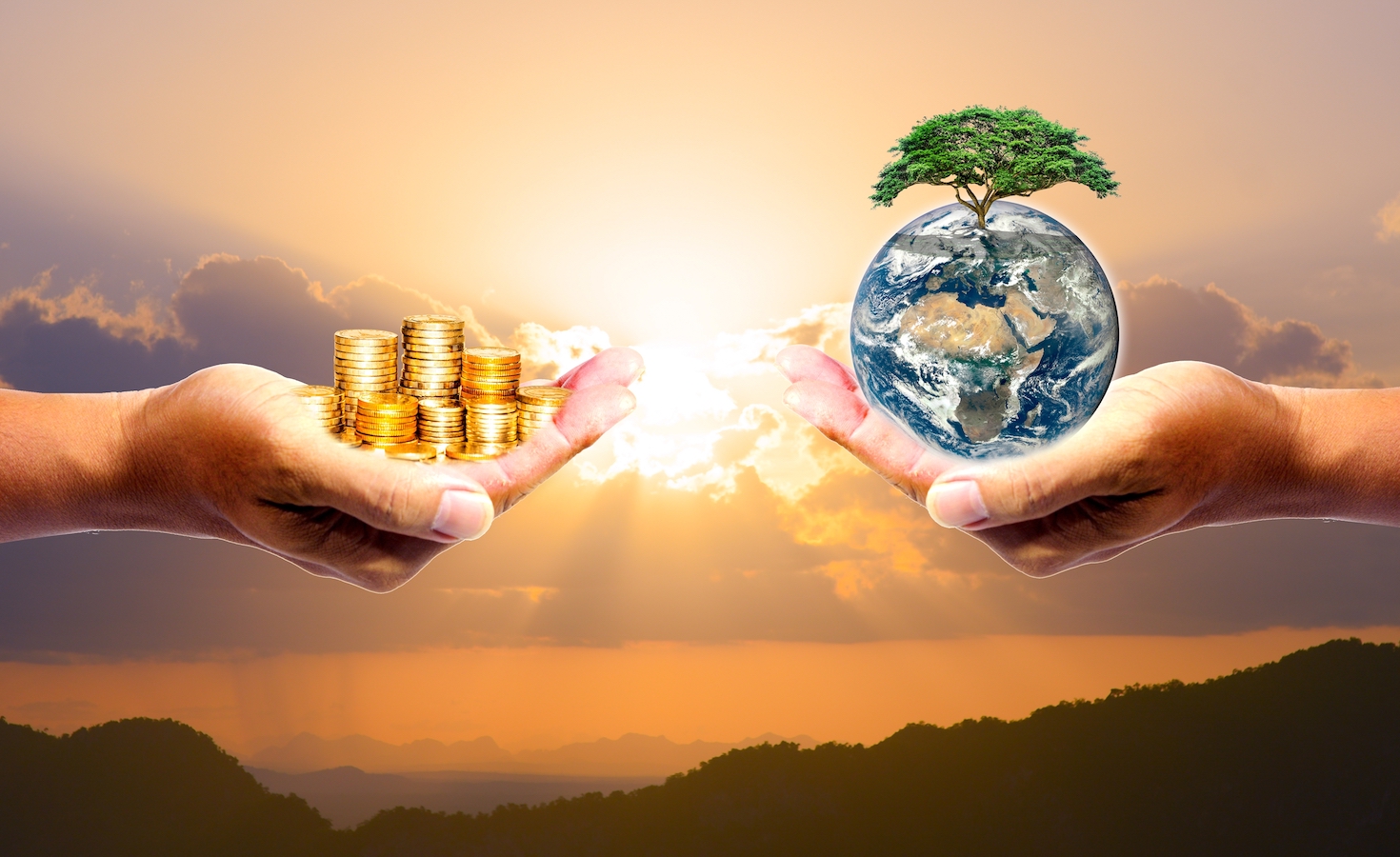 the-biodiversity-investment-thesis-is-still-ill-defined