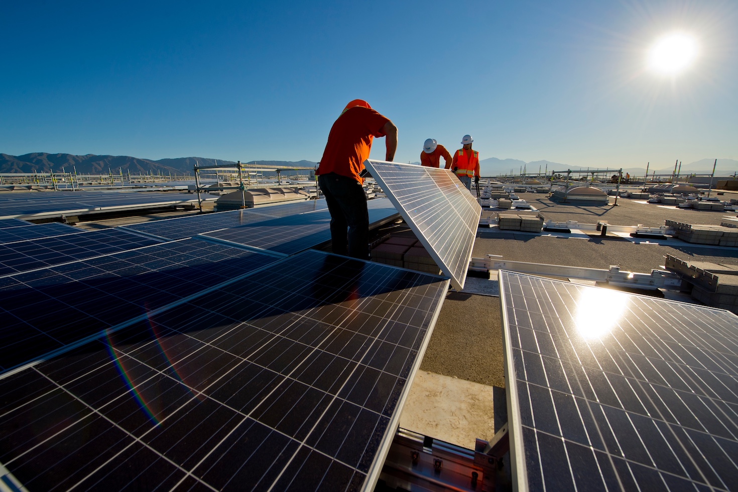case-study:-how-prologis-is-turning-the-sustainability-regulatory-squeeze-into-opportunity