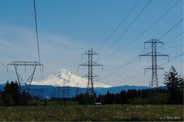 oregon,-have-your-voice-heard-on-the-climate-protection-program-rule-making