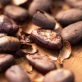cocoa-shell-fertilizer:-nestle-and-cargill-team-on-regenerative-agriculture