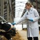 combining-the-best-of-regenerative-and-cellular-agriculture
