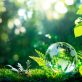 ‘milestone’:-taskforce-for-nature-related-financial-disclosures-publishes-final-recommendations