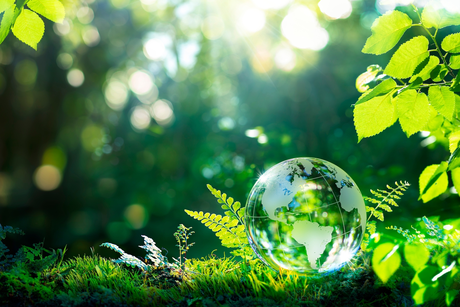 ‘milestone’:-taskforce-for-nature-related-financial-disclosures-publishes-final-recommendations