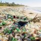 how-global-plastic-policies-could-slash-virgin-plastic-production-by-30-percent-by-2040