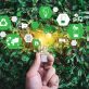 how-cfos-can-position-companies-to-be-sustainability-leaders