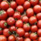 new-global-framework-seeks-to-streamline-regenerative-agriculture-practices