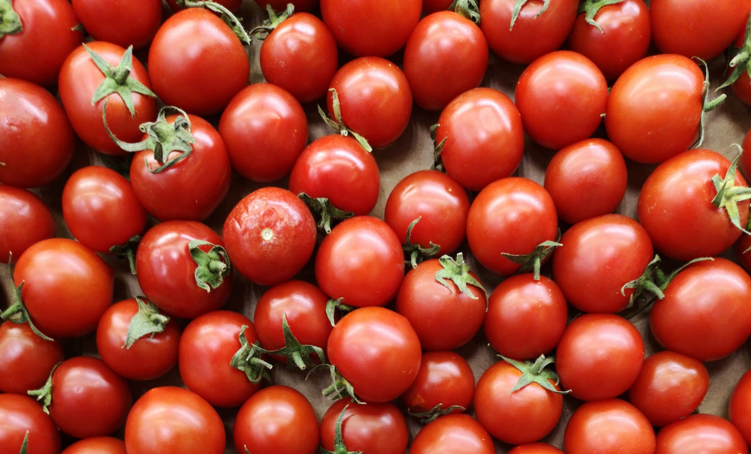 new-global-framework-seeks-to-streamline-regenerative-agriculture-practices