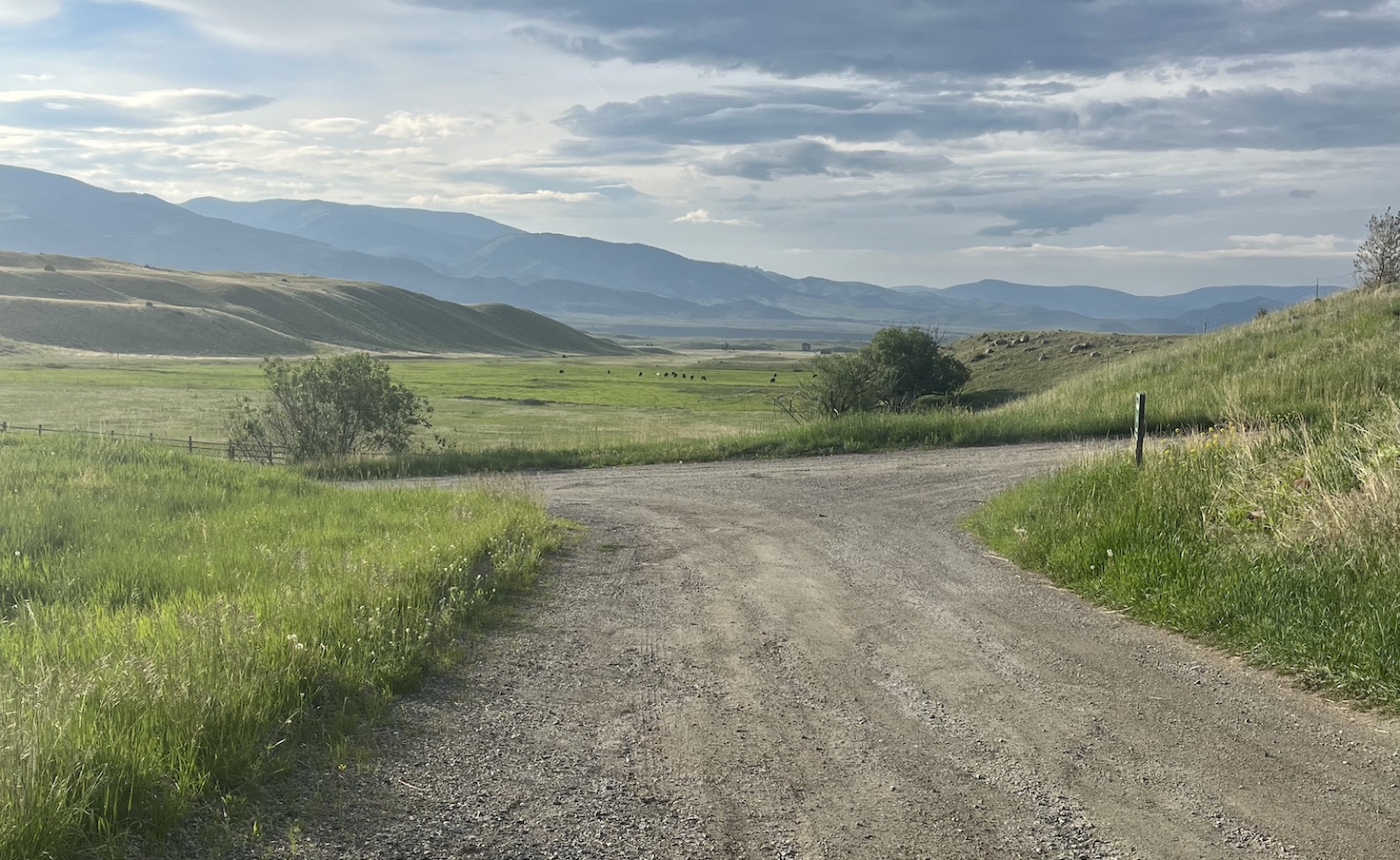 here’s-how-pepsico-and-walmart-are-investing-in-regenerative-agriculture.-plus-more-q3-updates