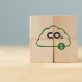 study-reveals-how-firms-buying-carbon-credits-are-‘outperforming’-peers-on-climate