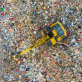 designing-waste-to-be-valuable