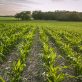 common-questions-in-soil-carbon-monitoring