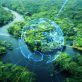 how-the-financial-sector-can-make-‘nature-markets’-work