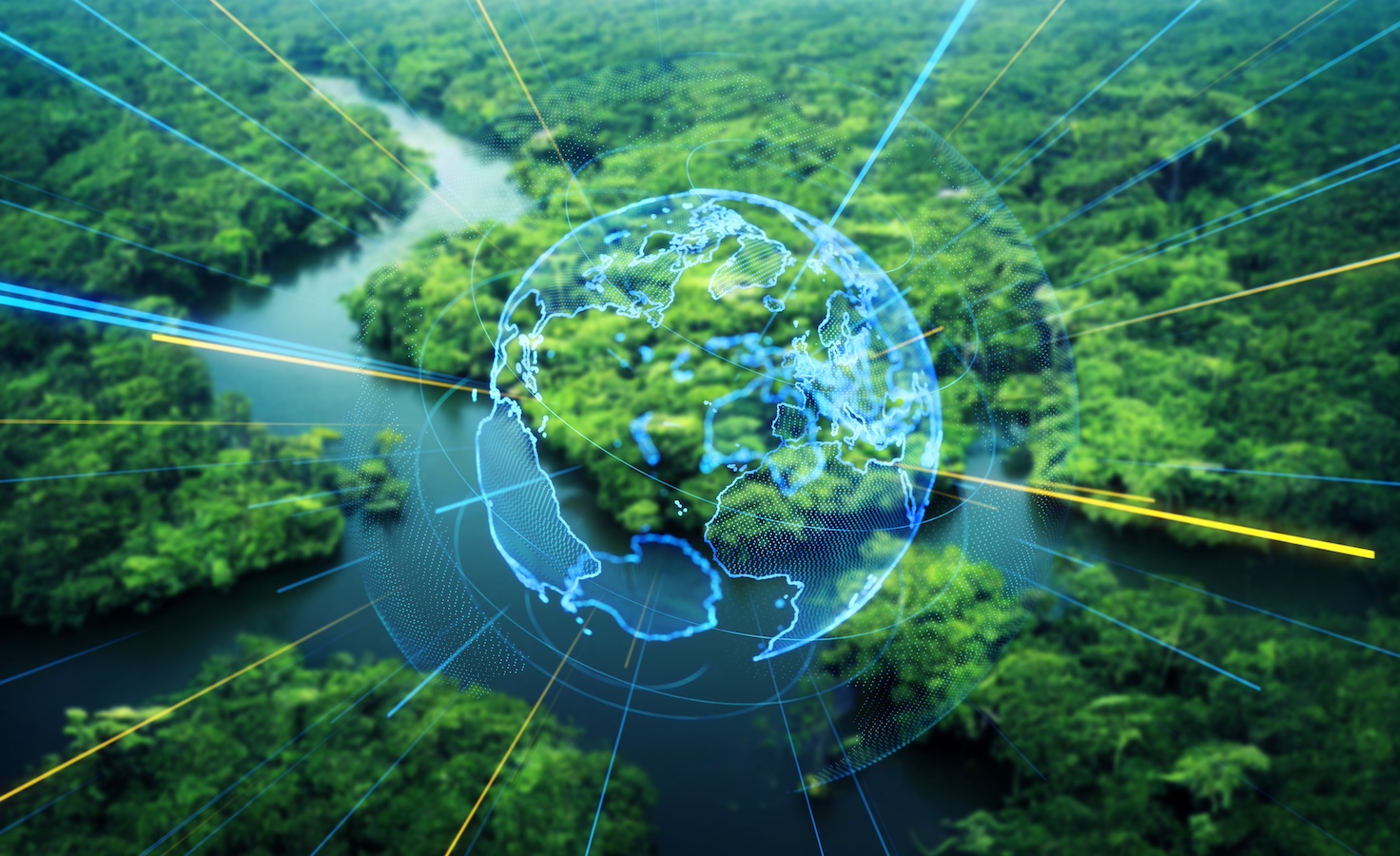 how-the-financial-sector-can-make-‘nature-markets’-work