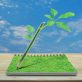 14-training-resources-for-regenerating-the-land-through-agriculture