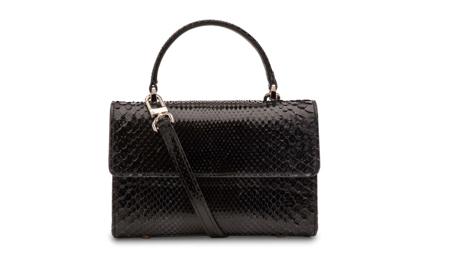 lionfish-leather,-pollution-free-plastic-and-more:-what’s-your-pick?