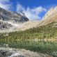 understanding-the-new-nature-and-biodiversity-frameworks-for-companies