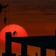 green-construction-practices-could-unlock-this-$1.5-trillion-opportunity,-study-finds