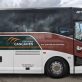 the-bus-company-that-could