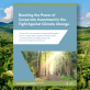 boosting-the-power-of-corporate-investment-in-the-fight-against-climate-change