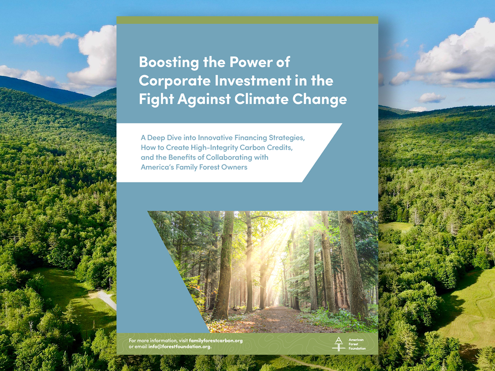 boosting-the-power-of-corporate-investment-in-the-fight-against-climate-change