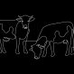 emissions-keep-rising-among-world’s-biggest-meat-and-dairy-producers