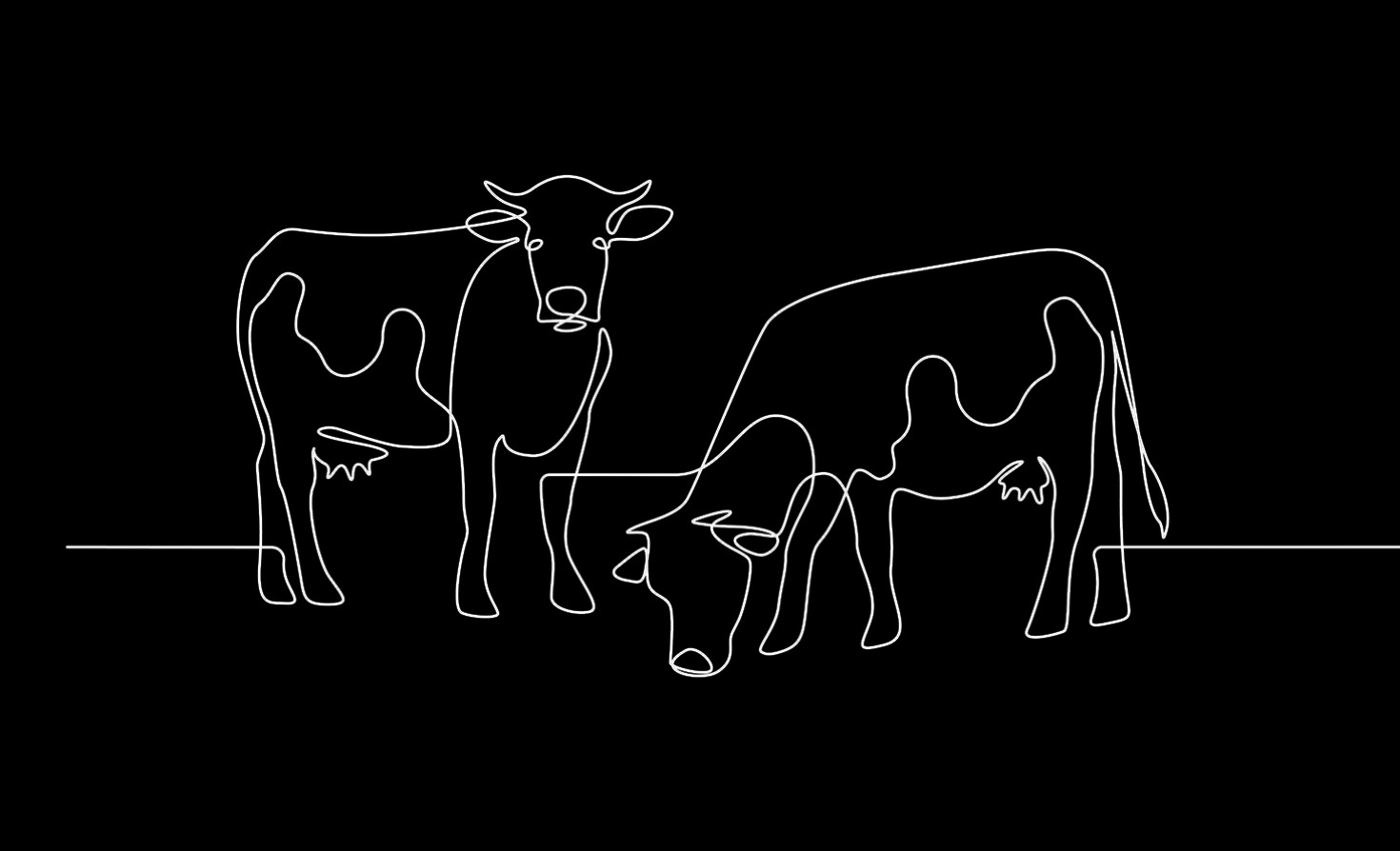emissions-keep-rising-among-world’s-biggest-meat-and-dairy-producers