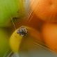 here’s-a-‘significant-step’-to-halve-food-waste-by-2030
