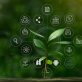the-first-step-toward-an-embedded-sustainability-strategy:-pinpoint-key-esg-issues