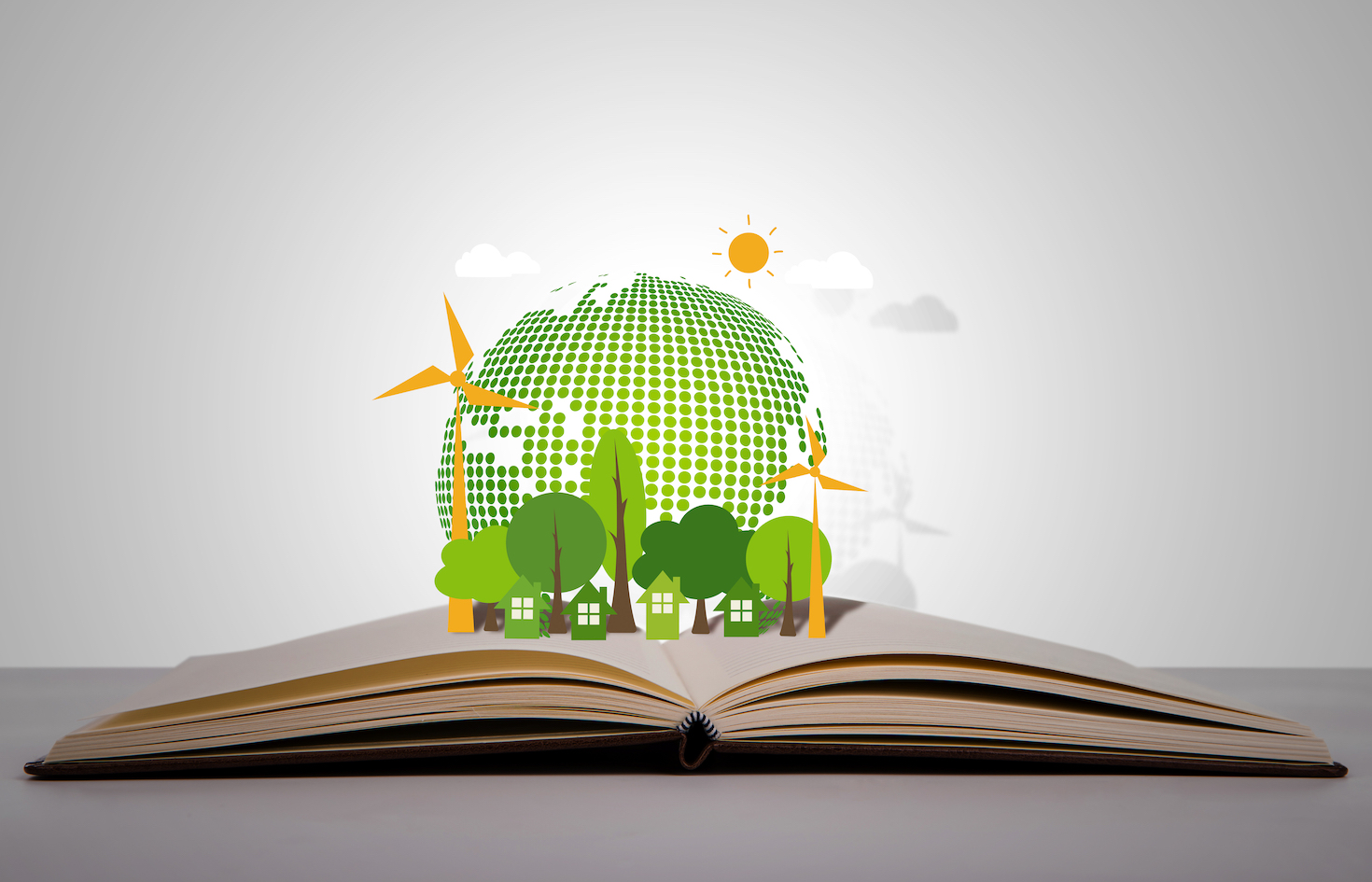 how-to-invest-in-sustainability-education-for-corporate-boards,-execs-and-employees