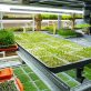 food-decarbonization-comes-of-age-at-cop28