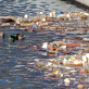 why-it-matters-that-new-york-state-is-suing-pepsico-over-single-use-plastic