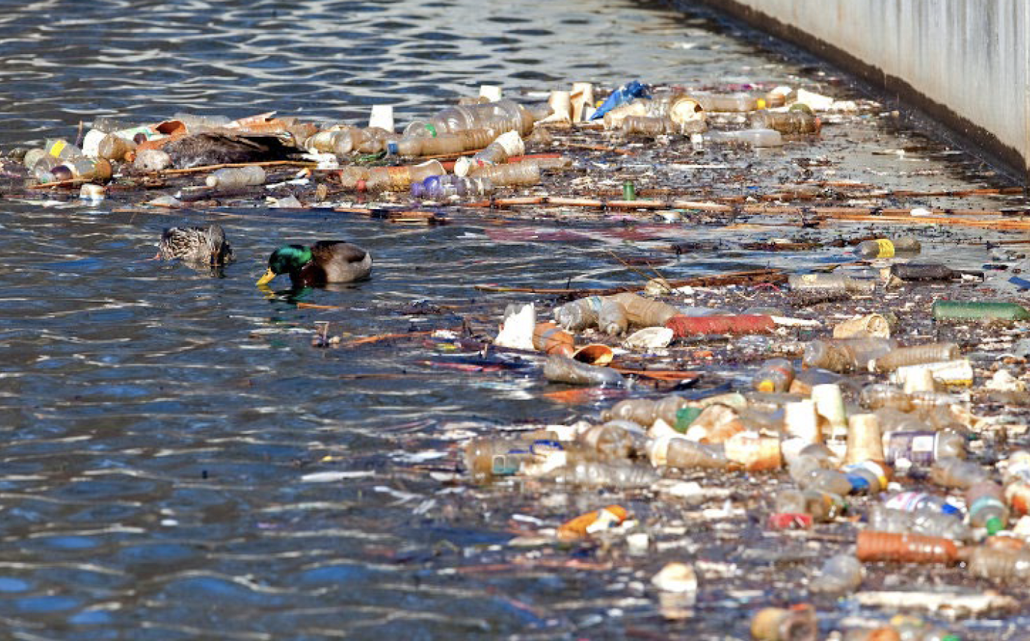 why-it-matters-that-new-york-state-is-suing-pepsico-over-single-use-plastic