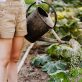 the-year-in-food:-these-trends-will-help-define-2024