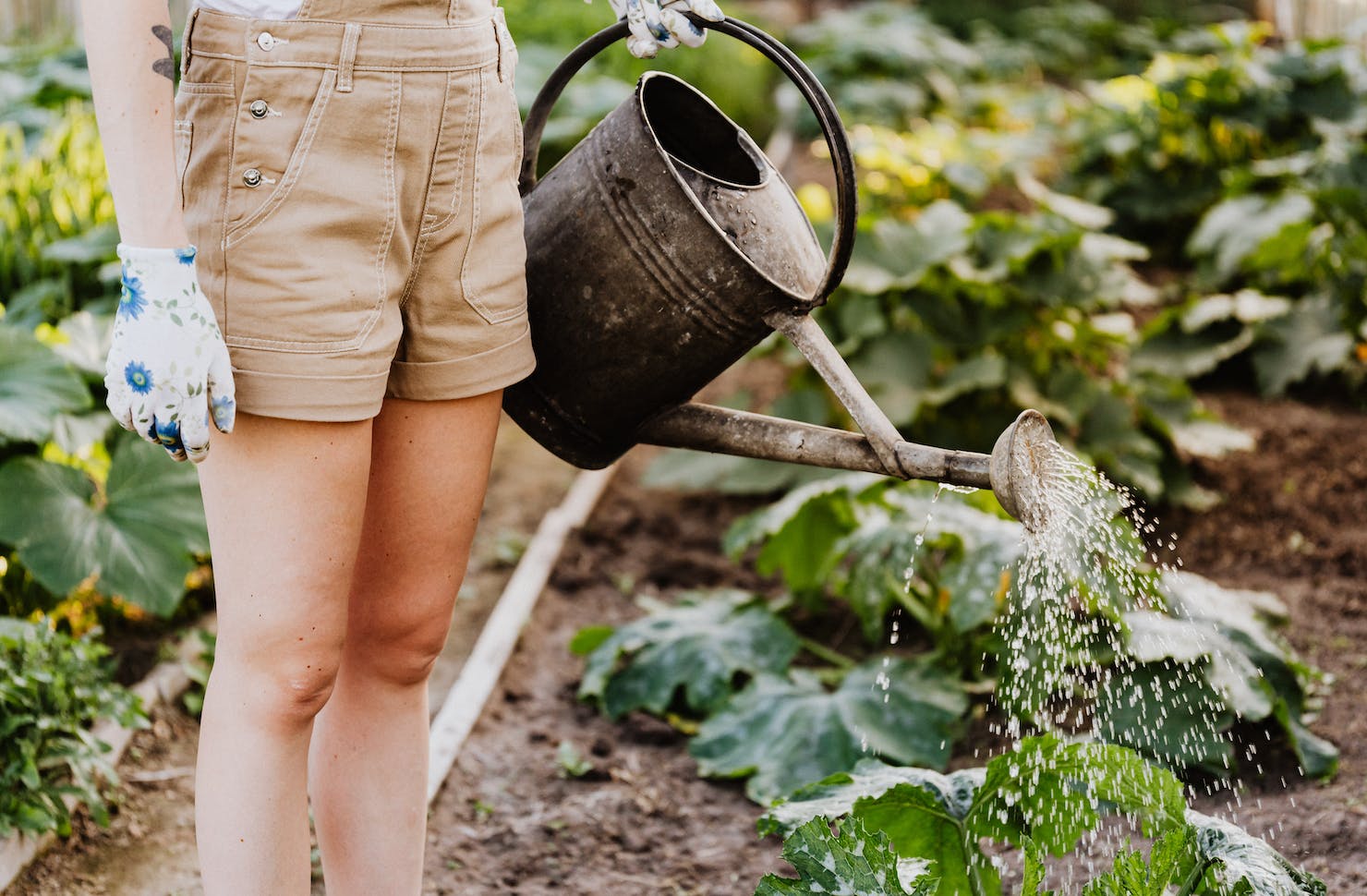 the-year-in-food:-these-trends-will-help-define-2024