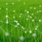 nature-tech-got-$16-billion-in-vc-funding-last-year.-it’s-poised-to-take-off-in-2024
