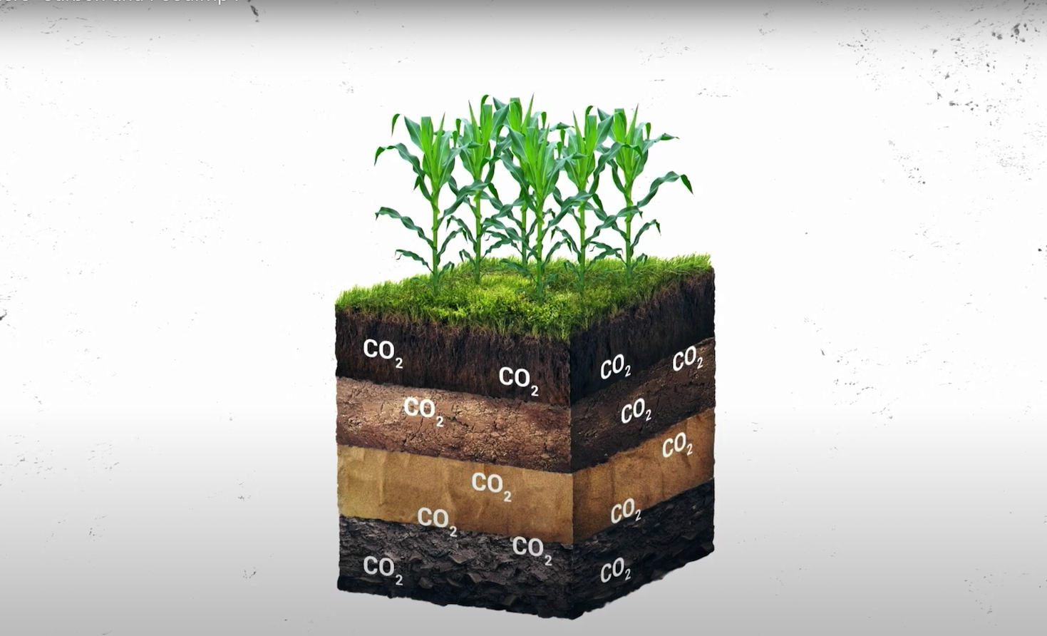the-most-over-and-under-hyped-climate-trends-of-2023