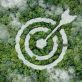 the-year-ahead-in-esg:-assurance,-transition-finance-and-natural-capital