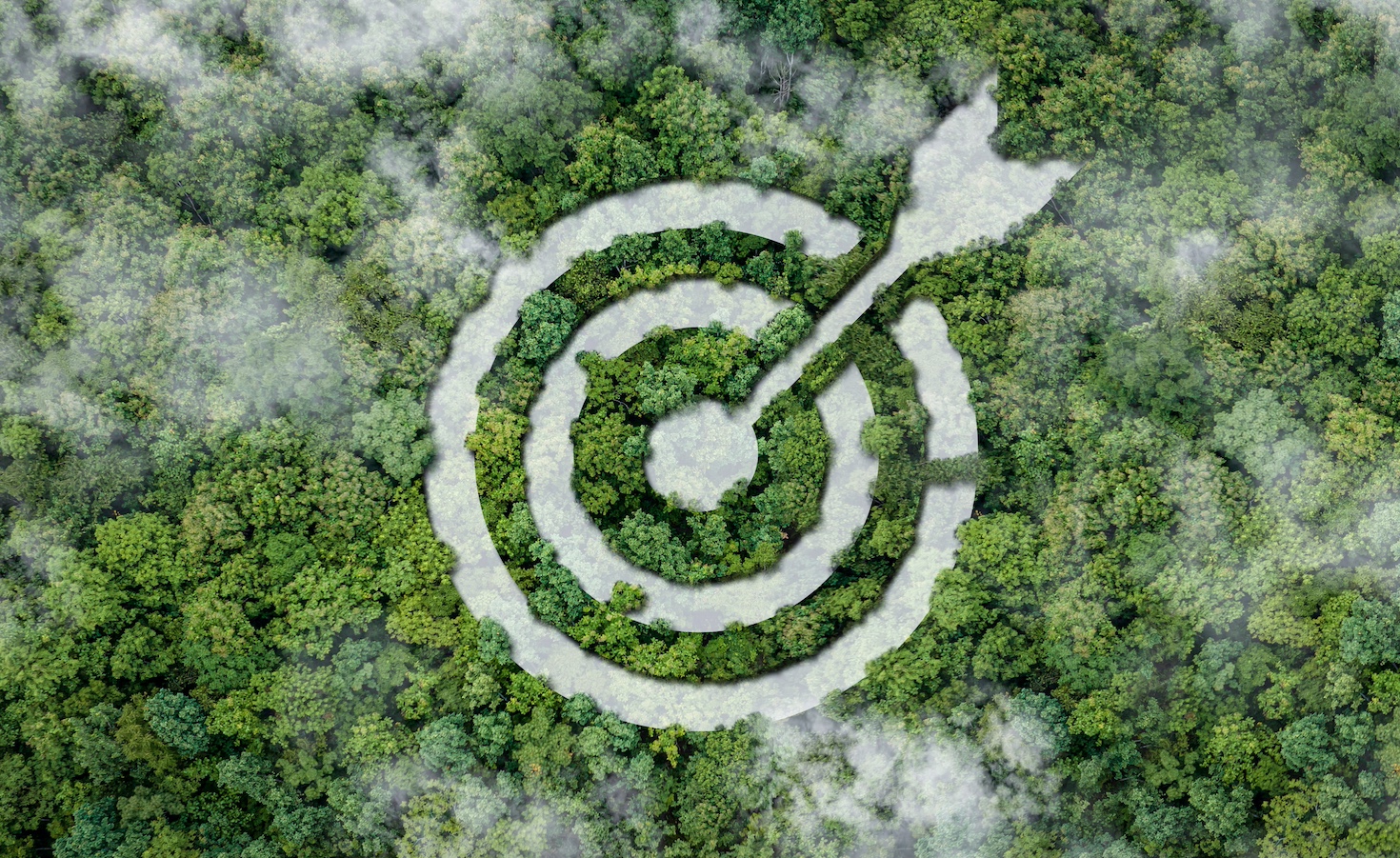 the-year-ahead-in-esg:-assurance,-transition-finance-and-natural-capital