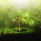 3-lessons-from-sustainability-leaders-on-accelerating-impacts-on-food-systems