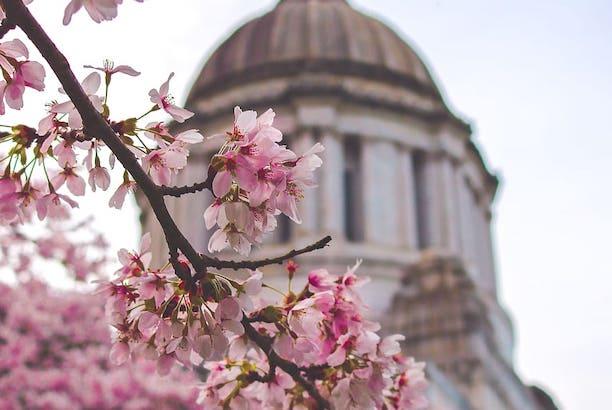 washington-legislates:-our-climate-priorities-for-2024