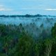 how-(and-why)-to-develop-a-credible-deforestation-policy-in-2024