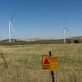 israel’s-climate-tech-sector-plummeted-in-2023