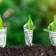 insurers-hope-new-policies-covering-carbon-credits-will-restore-trust-in-a-battered-market